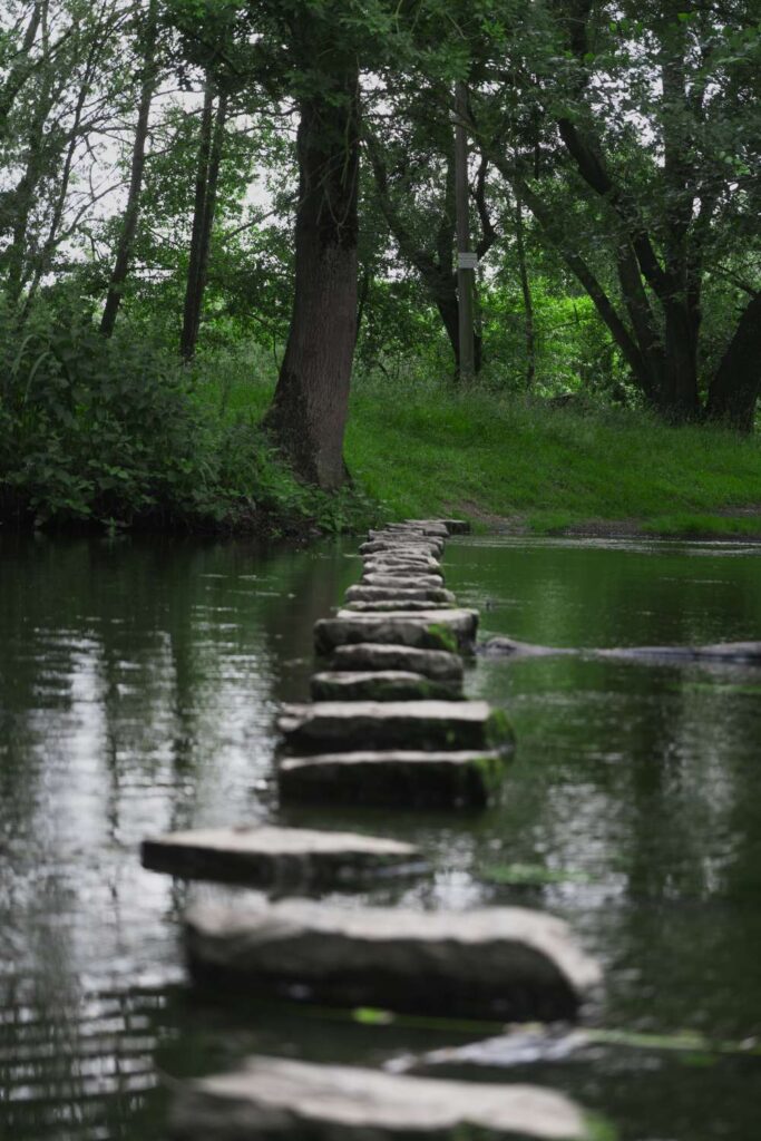 compress 20240619 141916 6611 compress 20240619 141916 6611