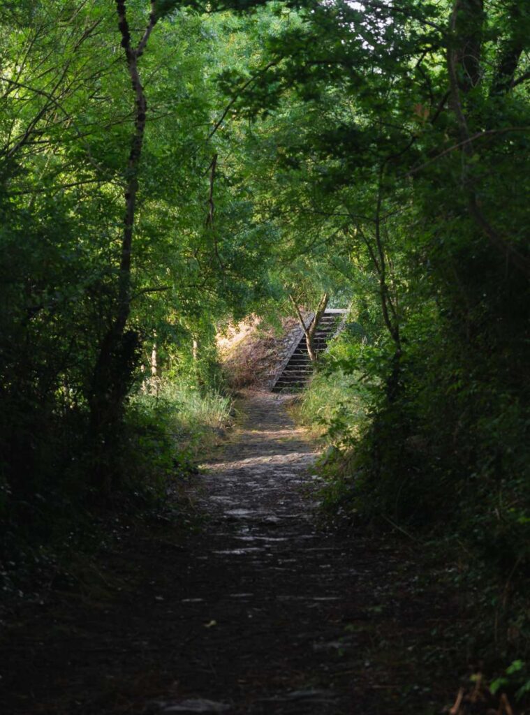 compress 20240619 141918 8697 compress 20240619 141918 8697