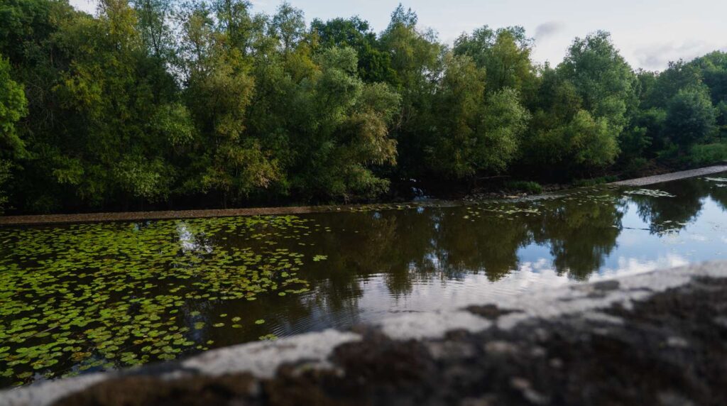 compress 20240619 141919 9054 compress 20240619 141919 9054