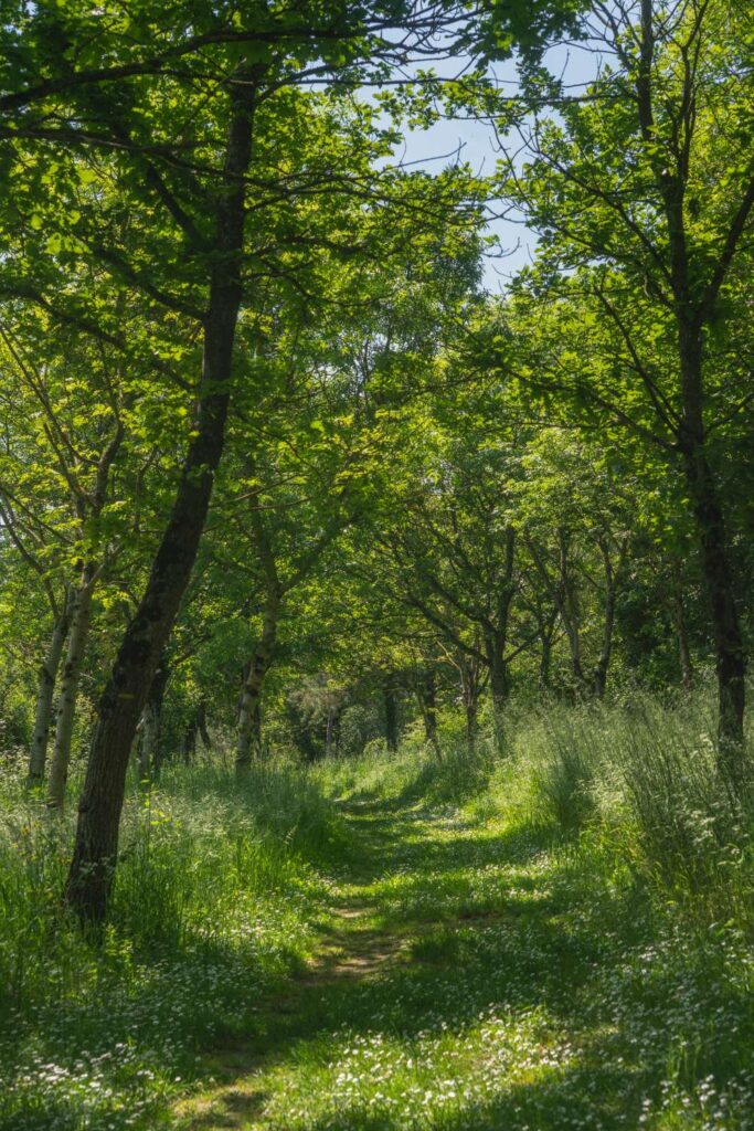 compress 20240619 141921 1577 compress 20240619 141921 1577