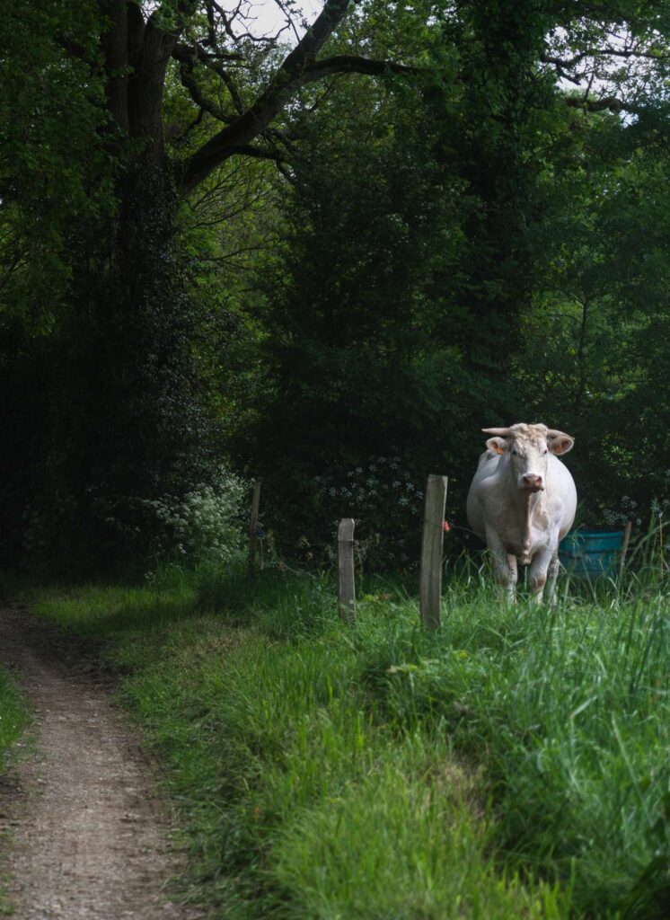 compress 20240619 141922 2309 compress 20240619 141922 2309