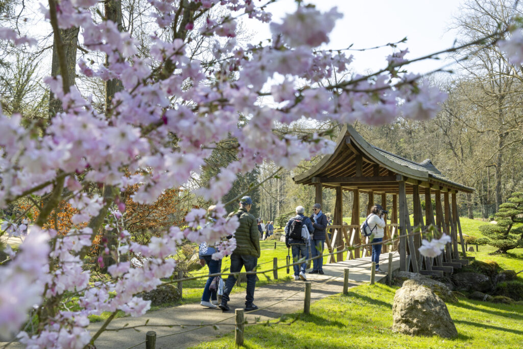 parc oriental maulevrier mars 2025 mehdi media 82 scaled parc oriental maulevrier mars 2025 mehdi media 82 scaled